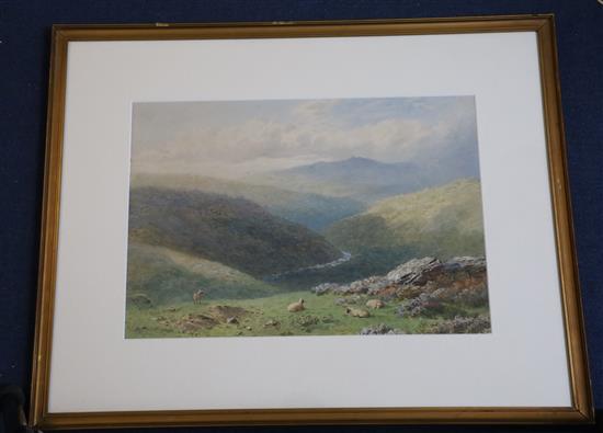 Harry Sutton Palmer (1854-1933) Sheep in a mountain landscape 11 x 15.75in.